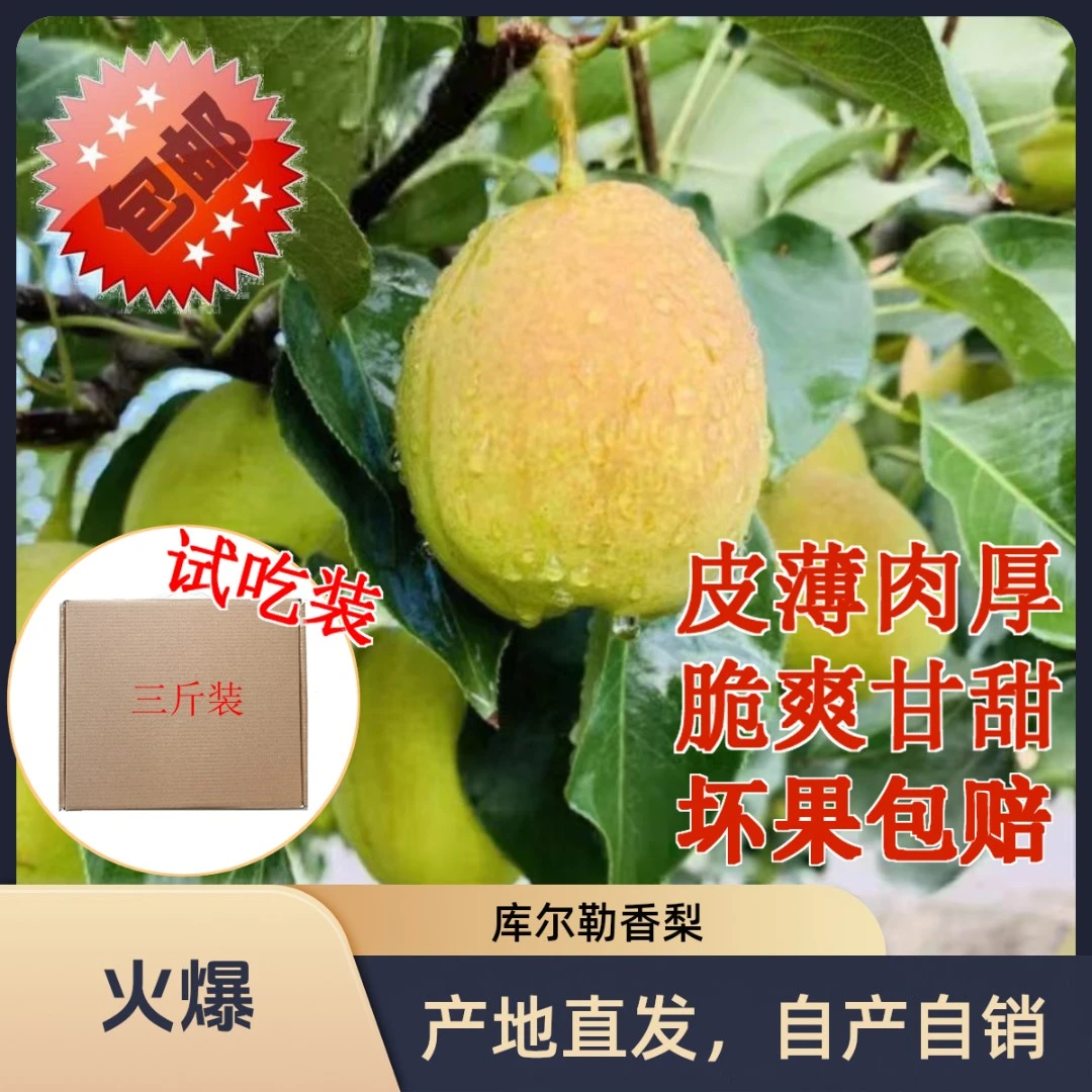 库尔勒香梨精品香梨新疆特产皮薄多汁香甜可口新鲜水果
