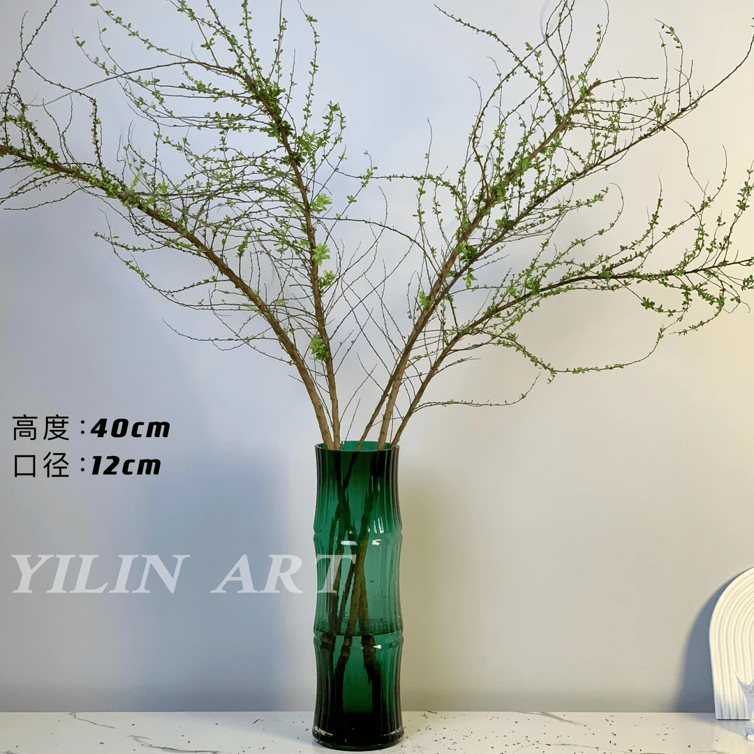 翠竹雪柳专用圆形玻璃花瓶