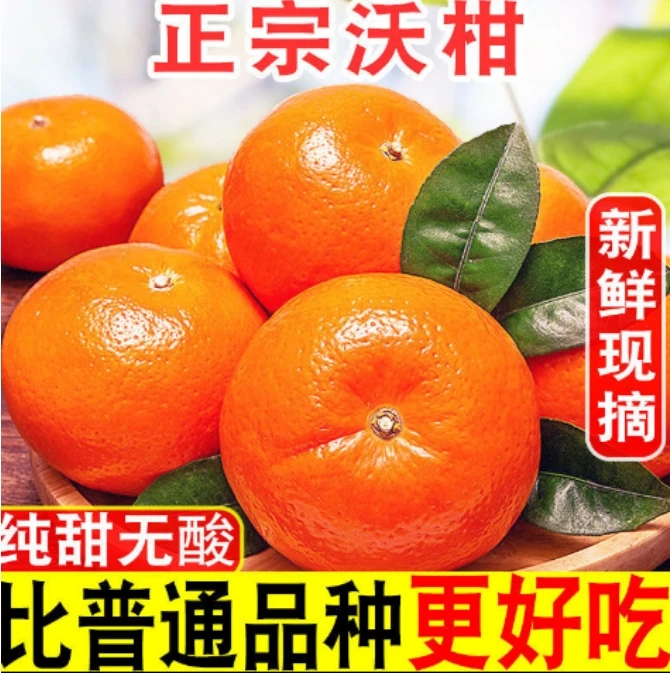 【新店抢购】正宗广西武鸣产地沃柑新鲜多汁砂糖桔当季水果孕妇橘