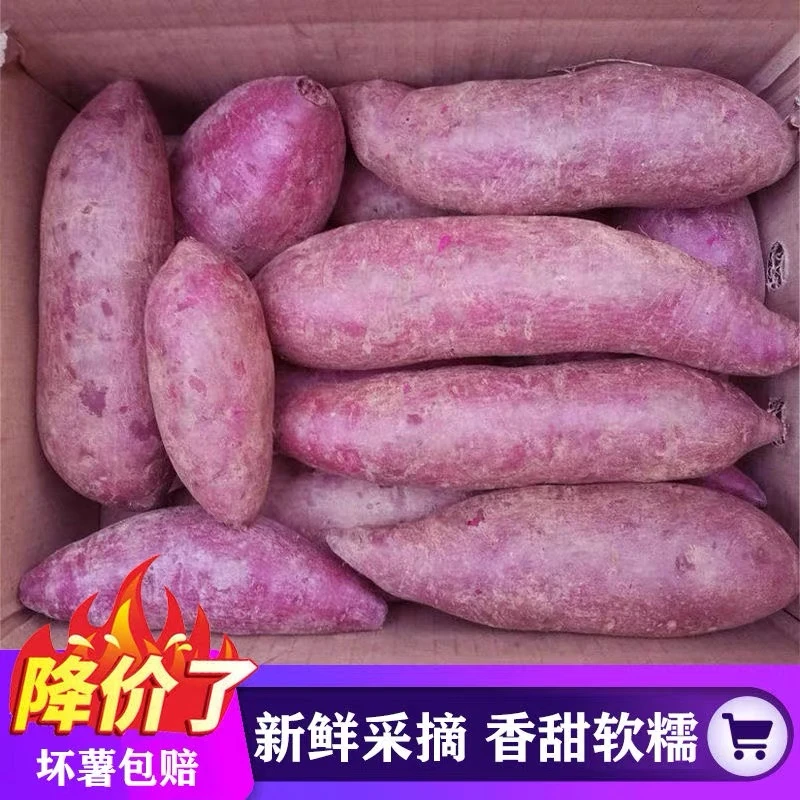 【1元抢一箱】新鲜紫罗兰成熟紫薯新鲜农家自种1-9斤紫罗兰香甜蜜薯