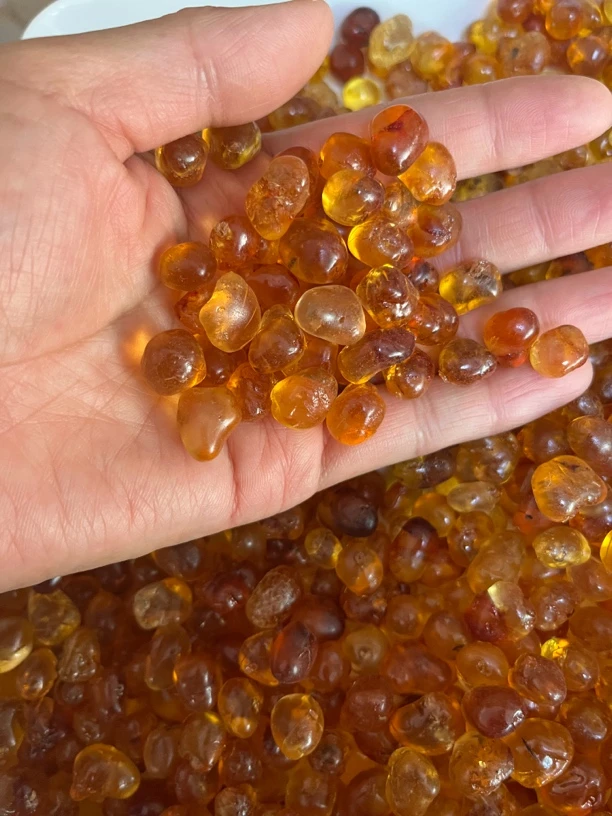 精选桃胶 手工修剪桃胶