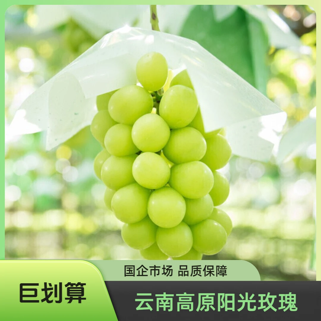 【江浙沪次日达】阳光玫瑰净重4.5斤纯甜新鲜自然熟成脆甜多汁（12）