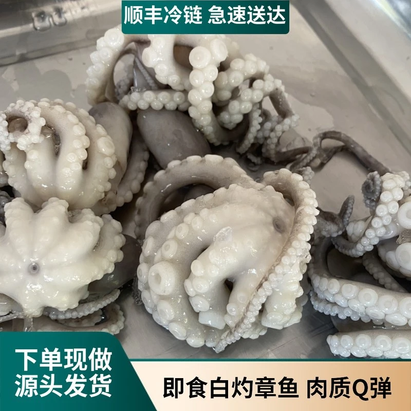 福建闽南特产白灼章鱼八爪鱼海鲜即食小吃250g顺丰冷链包邮