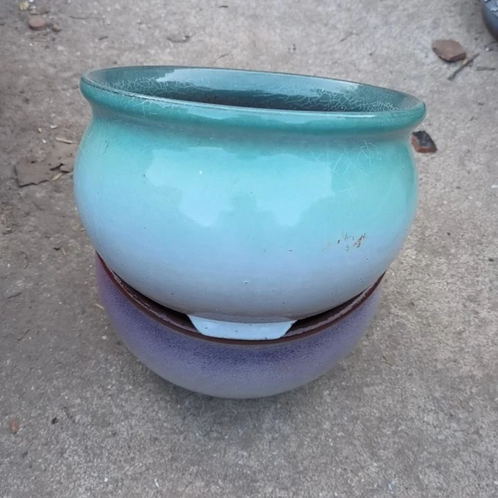 红陶20/12瑕疵两个