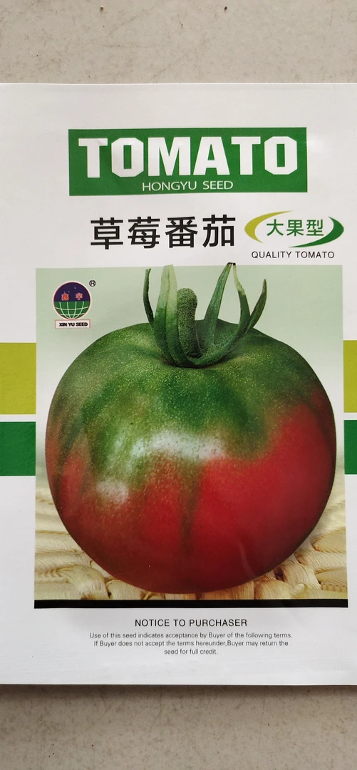 草莓柿子大果型种子（新老包装随机发货）