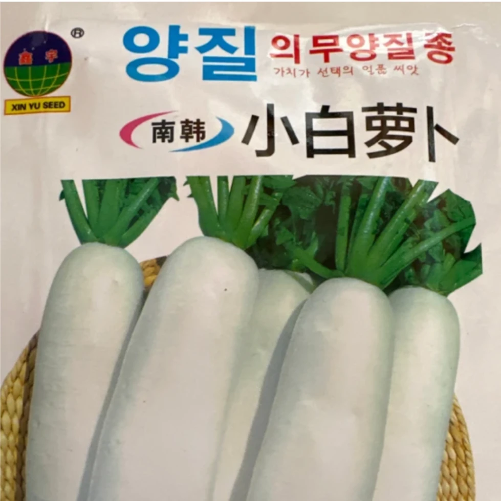 南韩小白萝卜种子