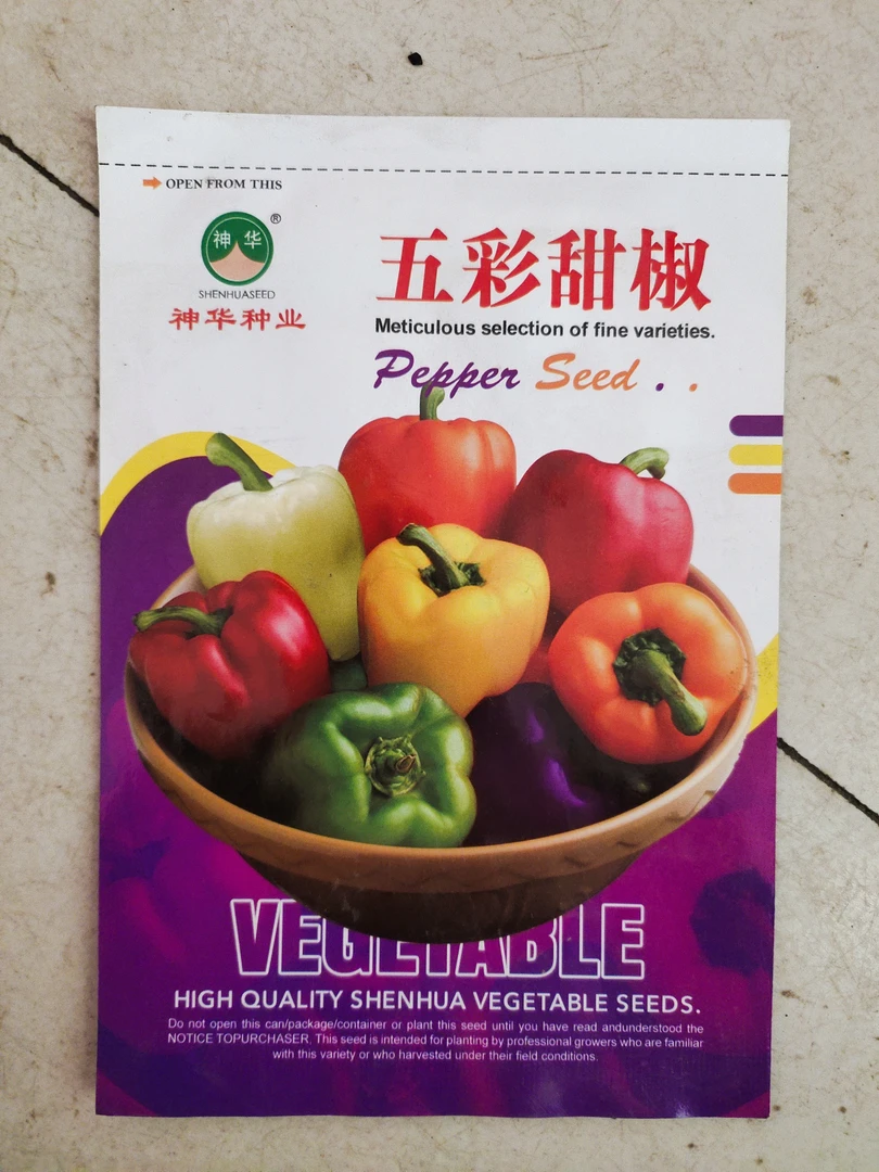五彩甜椒辣椒种子