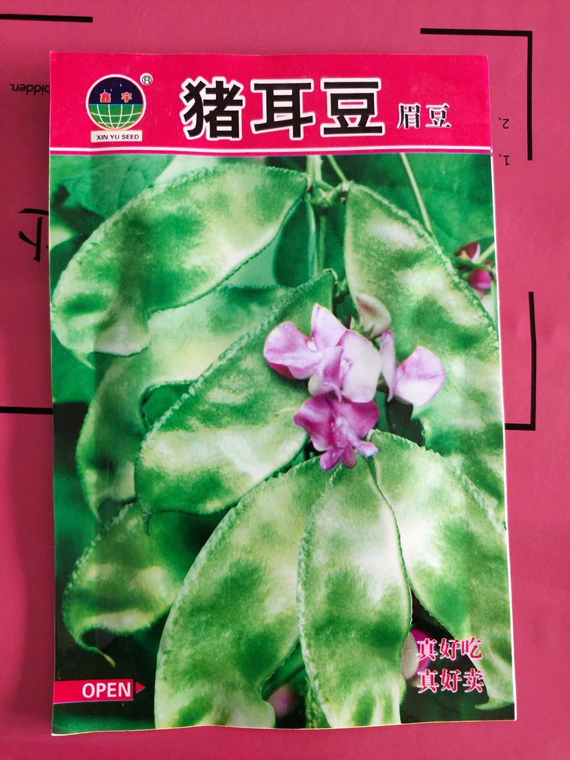 猪耳朵眉豆豆角种子