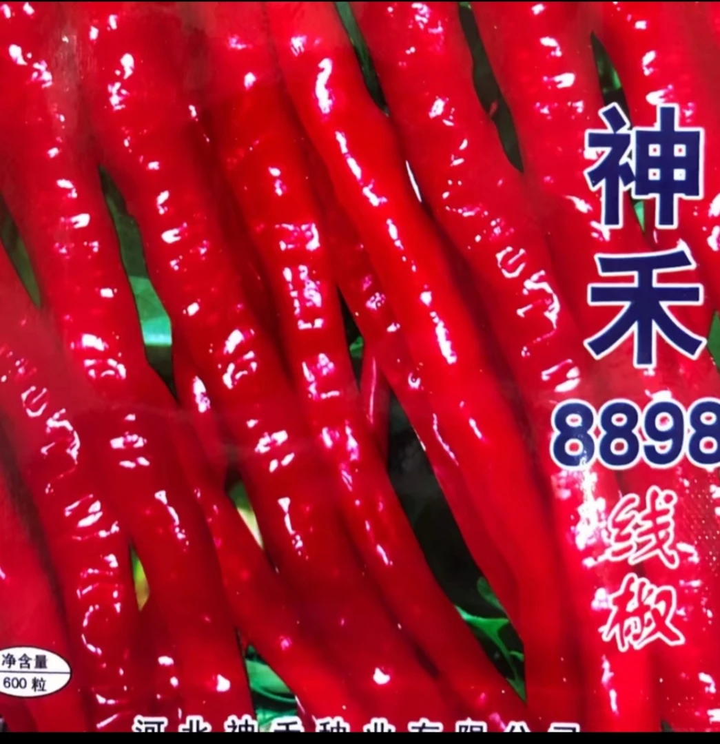 8898线椒辣椒种子