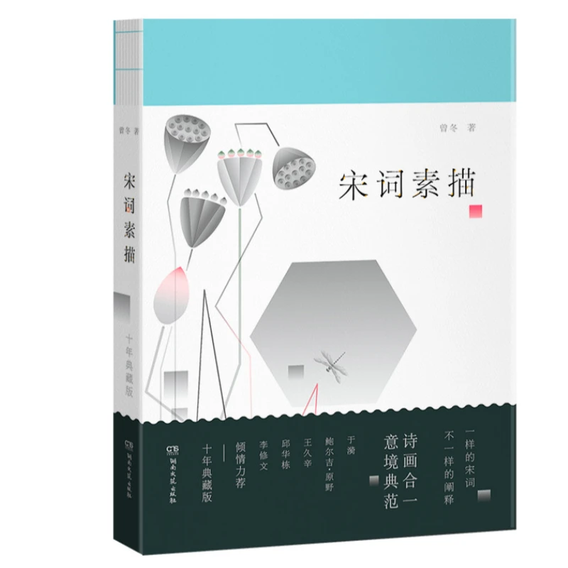 瑕疵 宋词素描（十年典藏版线装书籍）