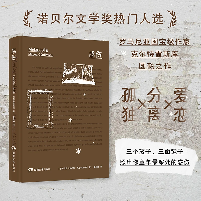 瑕疵书 感伤（诺贝尔文学奖热门人选：克尔特雷斯库代表作）