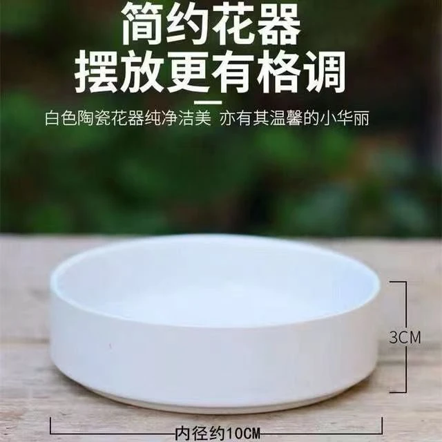 网红巴西木水培专用白色陶瓷盆器皿加厚小花盆简约阳台桌面家用
