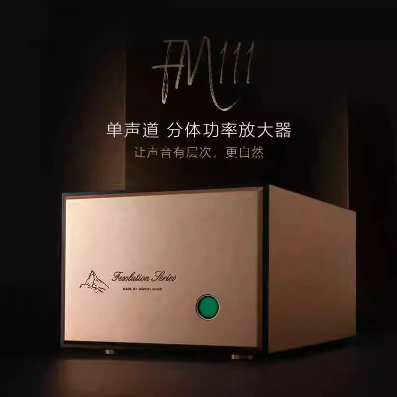 直刻FM111线路单声道分体式大功率放大器hifi发烧功放机家用后级