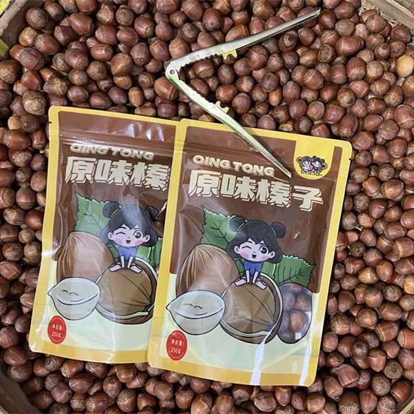 青铜葵花大榛子达维东北辽宁铁岭大榛子新货原味坚果去壳食用营养