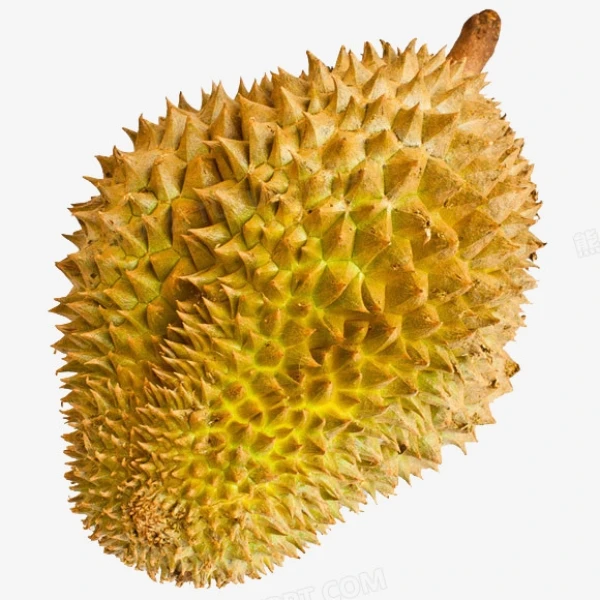 【同城配送】一隆果业榴莲新鲜东部金枕头榴莲 香甜软糯核小 一物一拍
