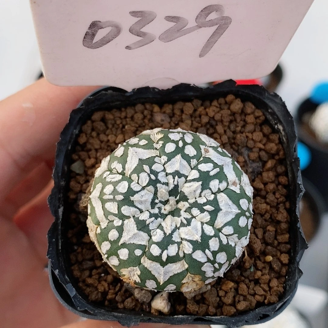 瑕疵特价福利特价优惠