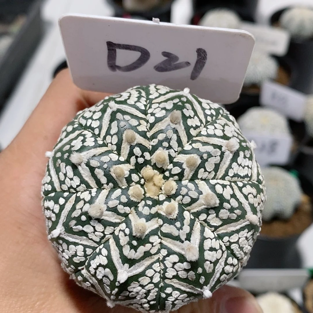 特价特价处理福利多多
