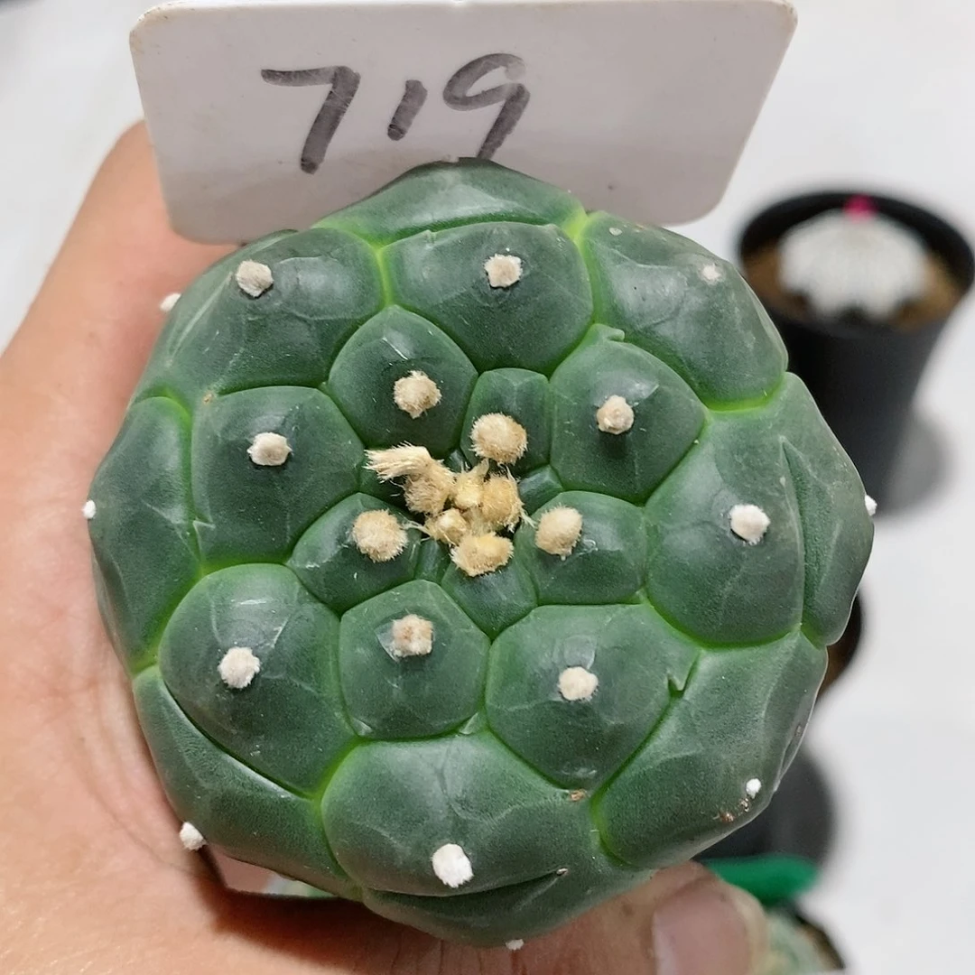 福利特价福利。福利
