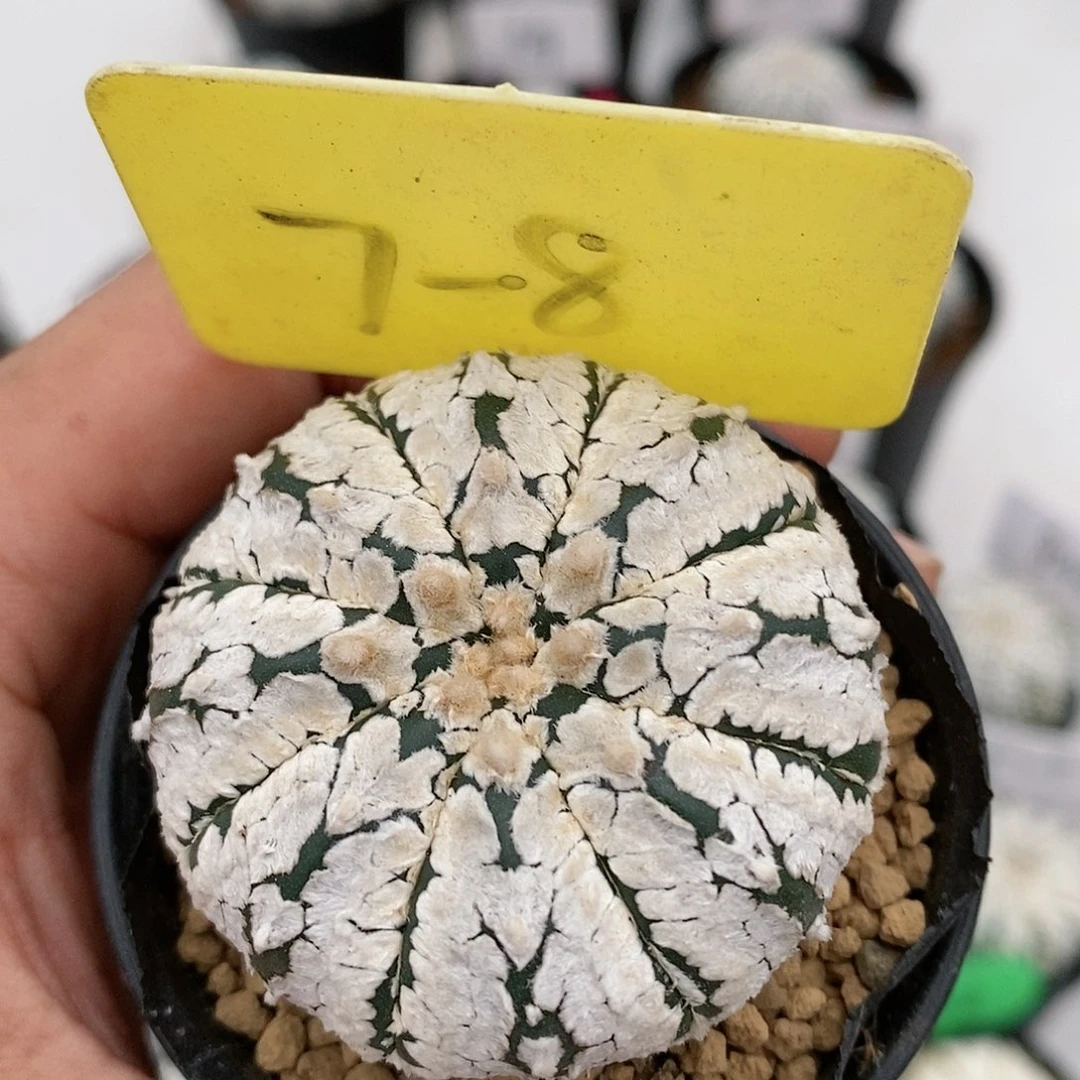 福利来袭了特价活动