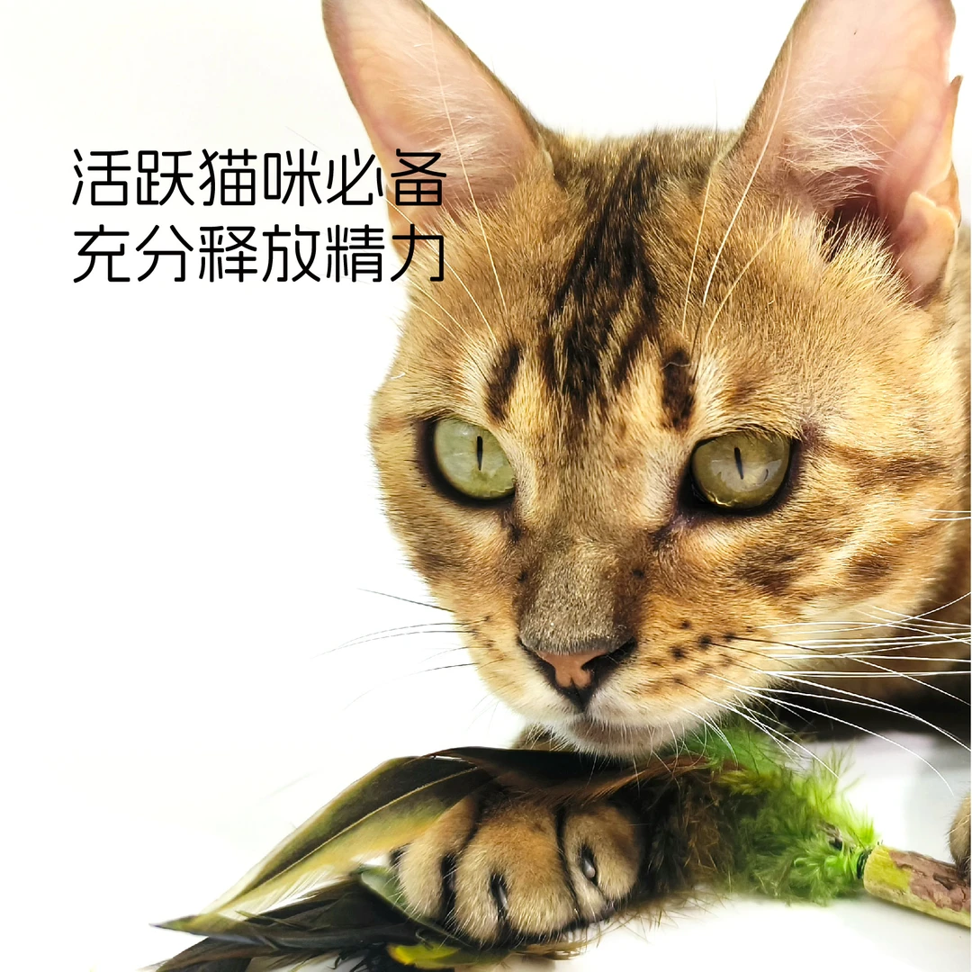 不趣集椰树逗猫棒自嗨解闷磨牙洁牙伸缩逗猫棒趣味幼猫消耗精力