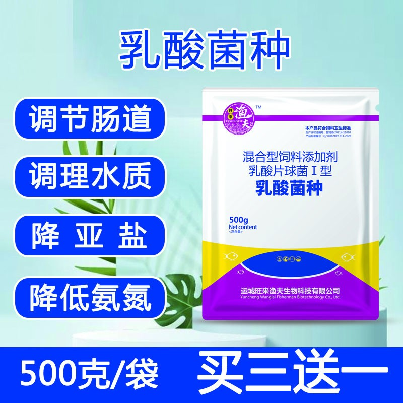 【乳酸菌种】水产养殖常备产品稳定PH值调水净水调理肠道诱食助长