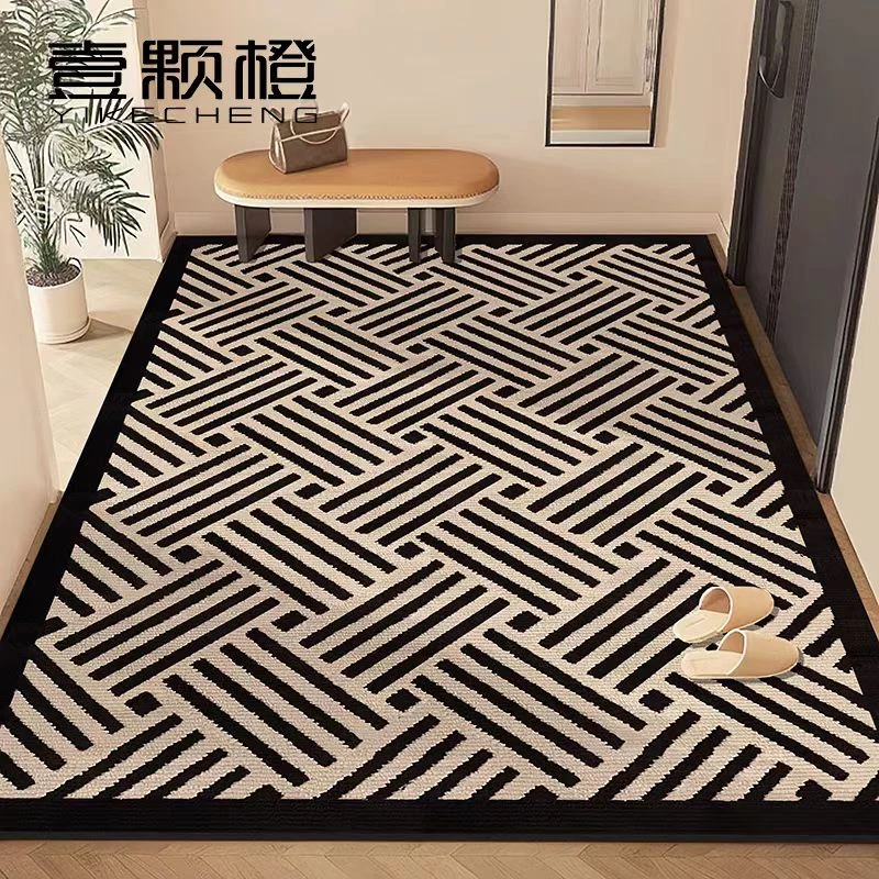 入户门垫（福利）进门地垫高级感家用防滑耐磨耐脏脚垫玄关门口地垫