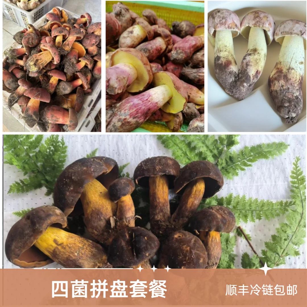 云南深山精品紫葱红葱白葱黑牛肝4拼性价比套餐新鲜空运自然采摘