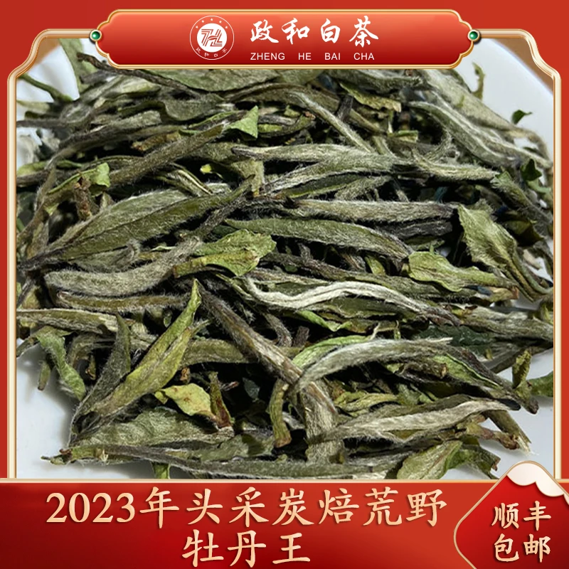 【念念不忘】2023年荒野牡丹王 头采炭焙政大黄念山荒野基地
