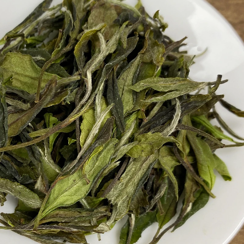 【百年野枞】2025年佛子山上狮岗头采百年古树野枞小菜茶贡眉