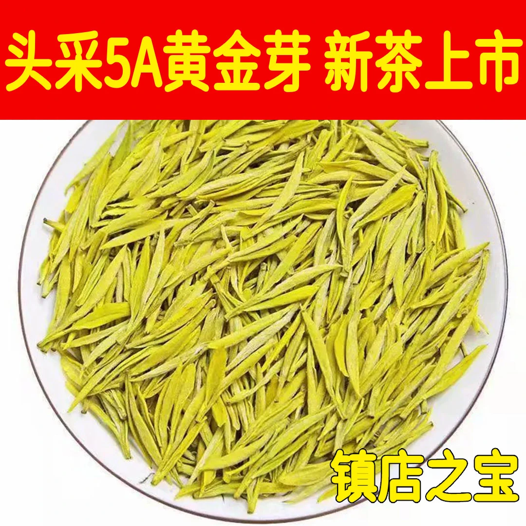 2025新茶高档黄金芽头采5A黄金叶豆香绿茶叶礼盒装罐装袋装散装茶
