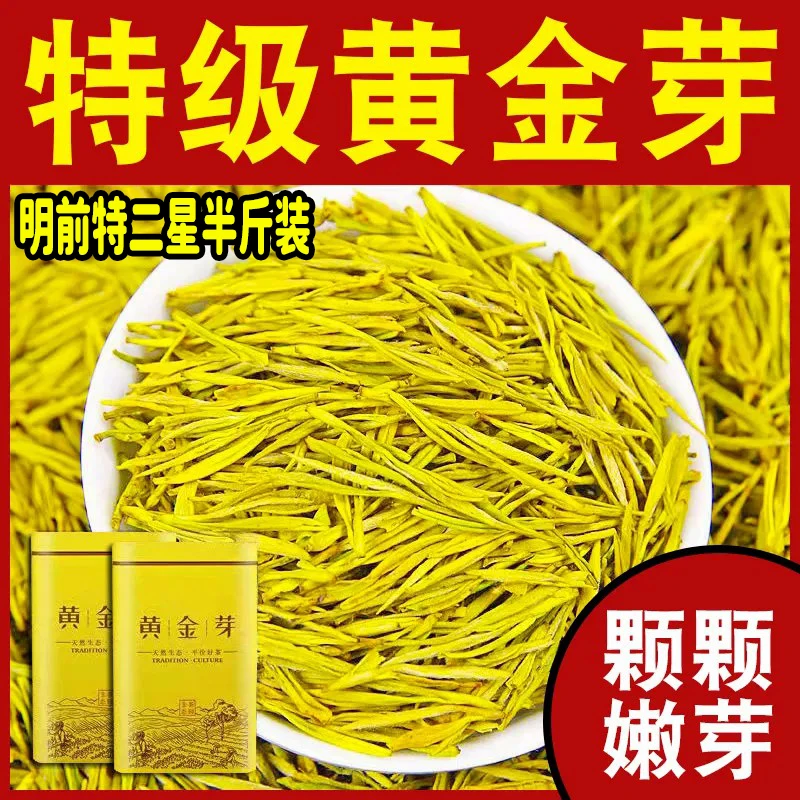 2025新茶明前黄金芽【特二星半斤装】高山绿茶浓香型茶叶黄金叶茶叶