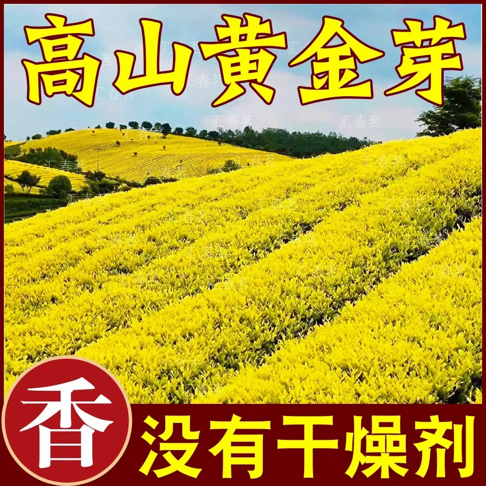 2025新茶【黄金芽】口粮款安吉特级黄金叶浓香型绿茶珍稀白茶罐装