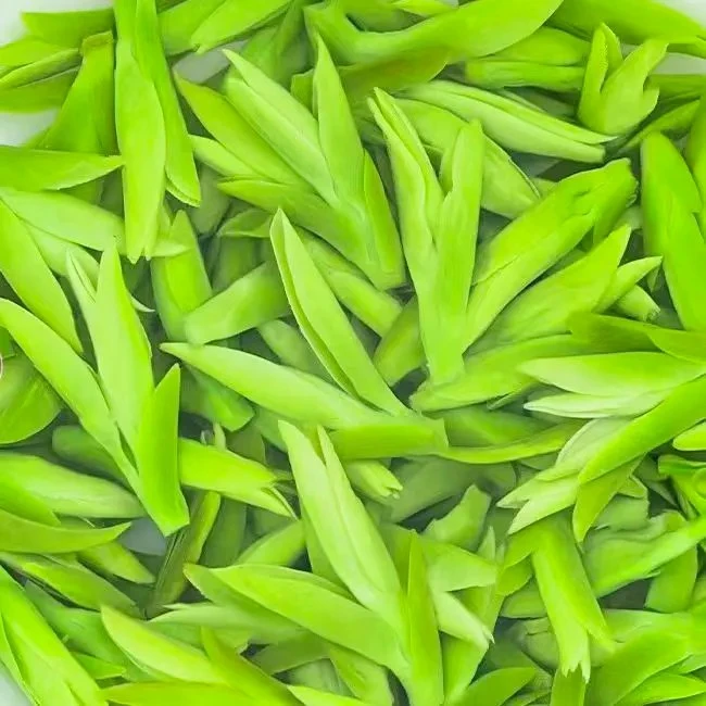 明前白茶2025新茶头采凤尾白茶嫩芽高档绿茶叶浓香礼盒装罐装袋装