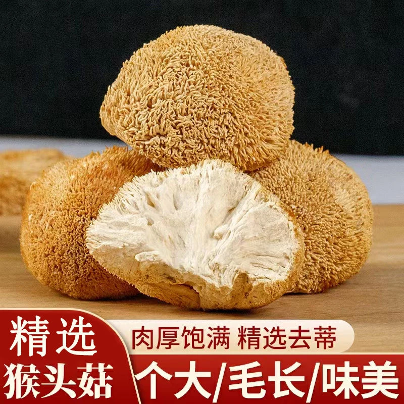 【净重没干燥剂】正宗深山猴头菇干货新鲜猴菇无熏硫煲汤食用猴头菌