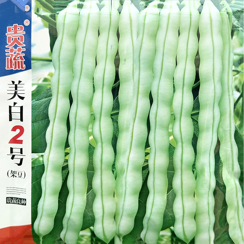 无筋白棒豆种籽白四季豆早熟高产白芸豆肉豆春夏秋南方蔬菜种子孑
