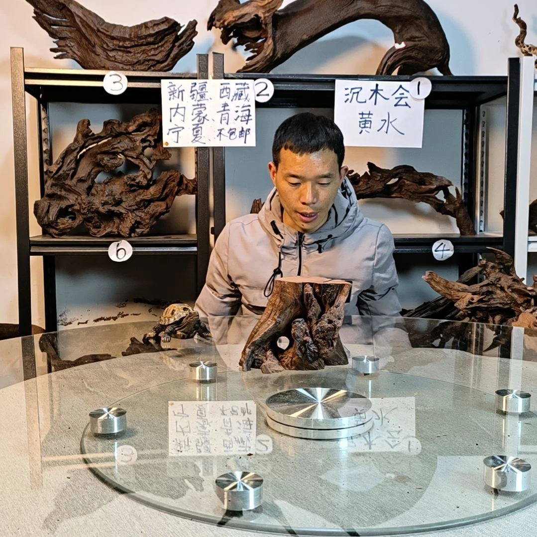 【闪购商品】B16天*