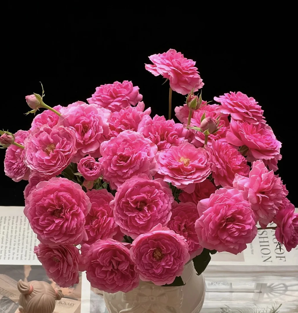 【10枝多头恋爱季】全场任意两单顺丰冷链包邮，一单需补邮费！