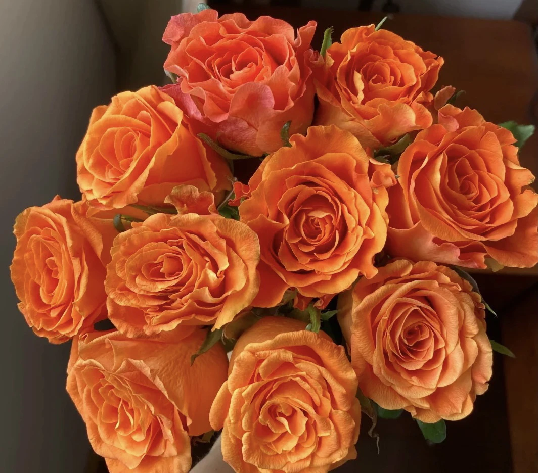 【巨蟹座】花农直发,全场任意两单顺丰冷链包邮,0度以下必拍保温棉!