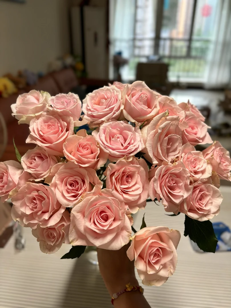 【粉爱神】花农直发，全场任意两单顺丰冷链包邮，0度以下必拍保温棉！