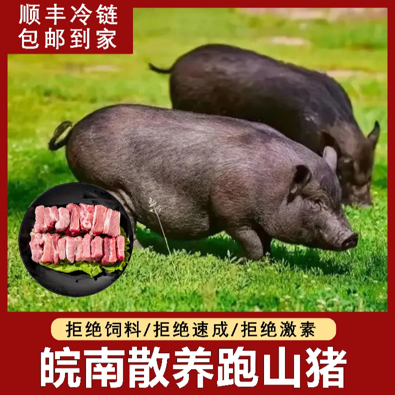 【皖南散养土猪】散养跑山猪肋排原切无杂骨无脊骨精选新鲜猪肋排