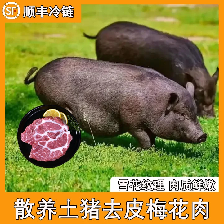 【顺丰冷链】皖南散养大别山土猪梅花肉新鲜发出精品梅花肉