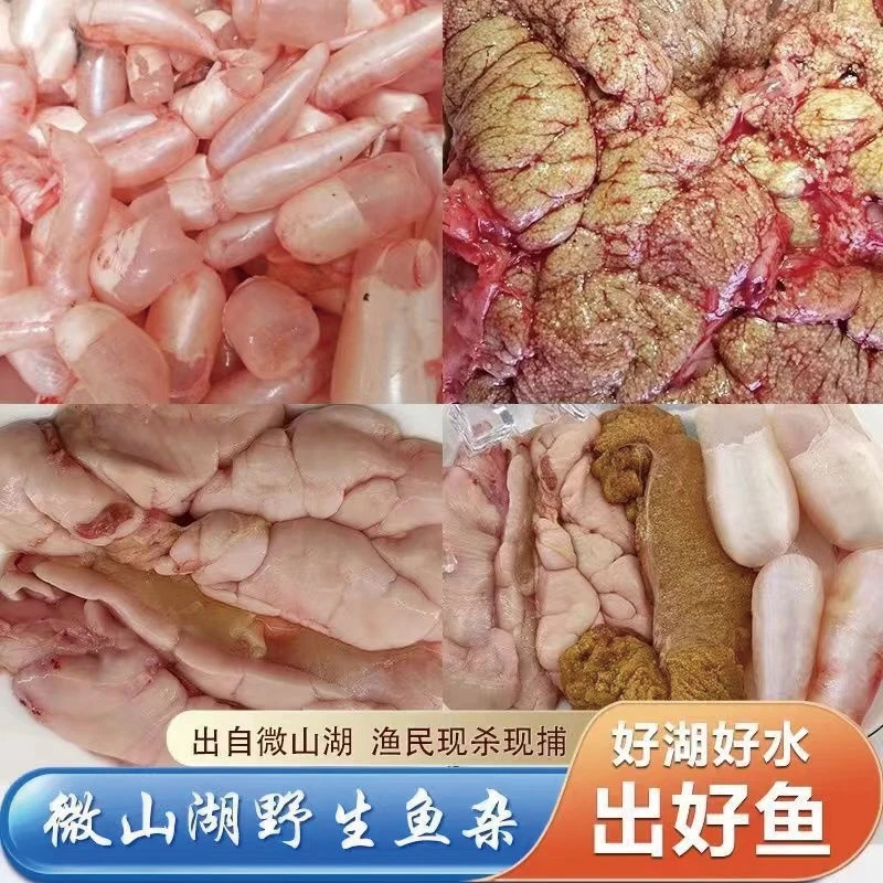 鱼籽鱼泡鱼白鱼杂微山湖淡水新鲜活鱼现取鱼卵鱼蛋