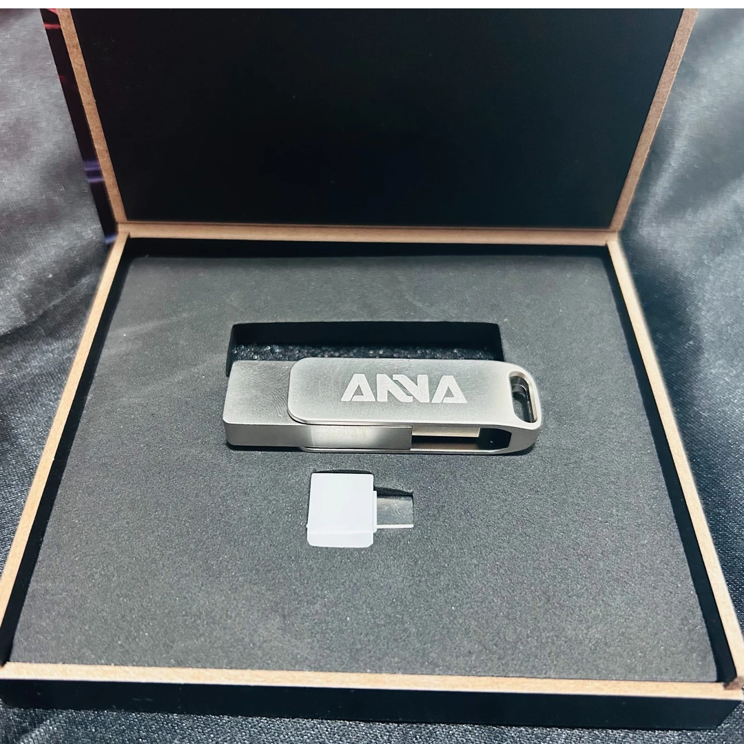 【安娜1.0】实用惠民版u盘