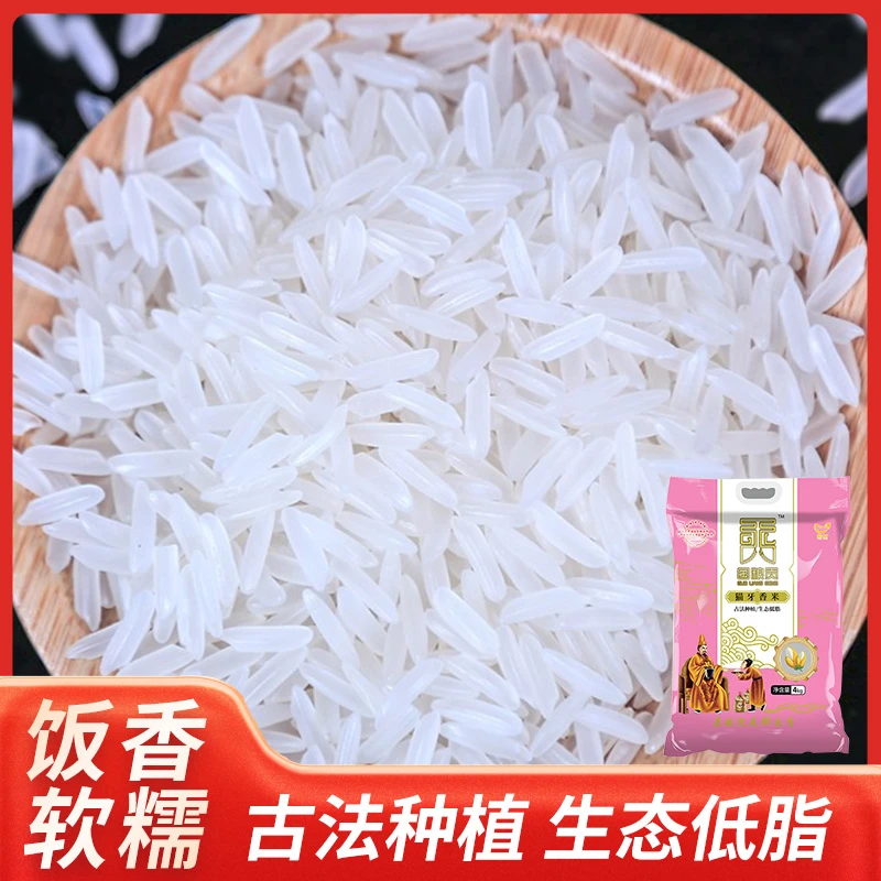 正宗猫牙米井冈山产地稻米长粒香煮饭煮粥口感软糯新米8斤真空装