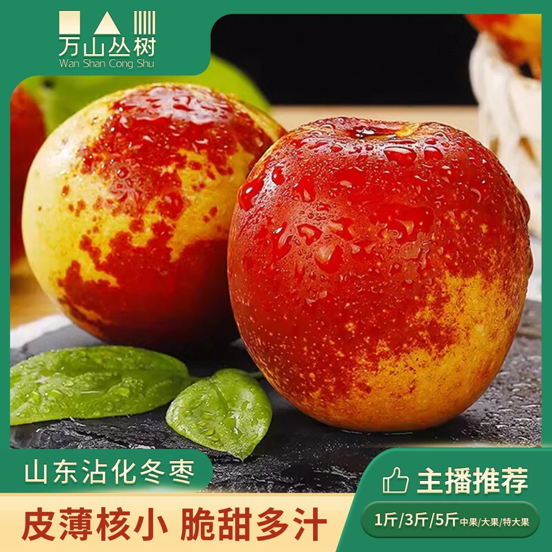 山东沾化冬枣 新鲜现摘冰糖脆甜鲜枣孕妇当季水果 5斤装