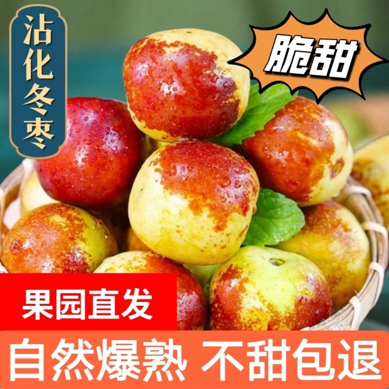 【产地直发】冬枣脆甜可口带箱5斤左右应季水果汁水丰富