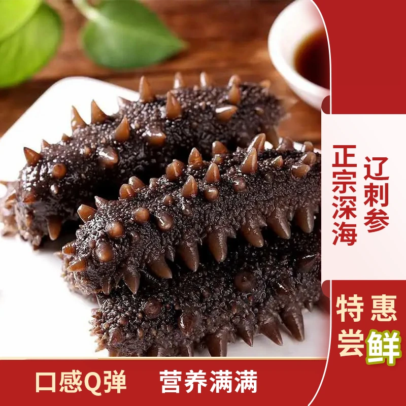 海鲜攻略 正宗大连鲜食海参三斤中秋礼盒装4-7头/斤