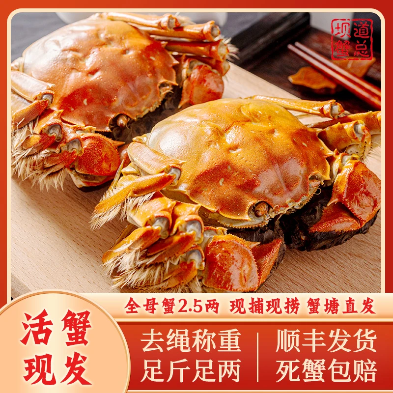 【活蟹现发】全母蟹2.3-2.6两8-12只鲜活顺丰xm
