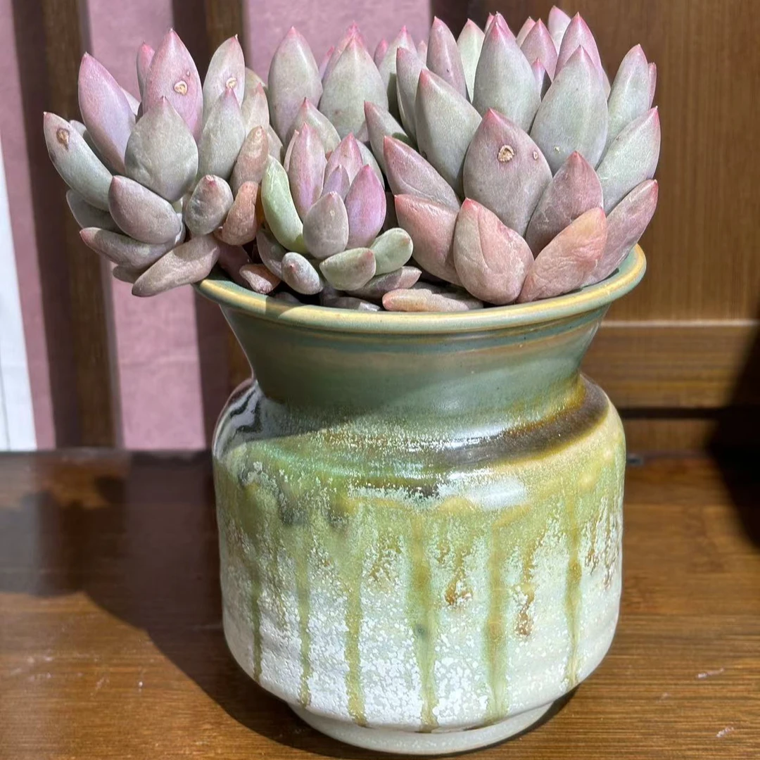 景德镇纯手工多肉绿植花卉花盆厂家直销创意复古高温流釉陶瓷花盆