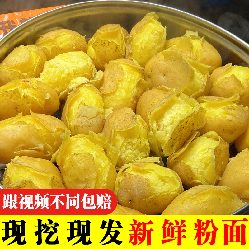 【9斤包邮】现挖现发粉面清香土豆蔬菜皮薄好吃美味新鲜黄心马铃薯